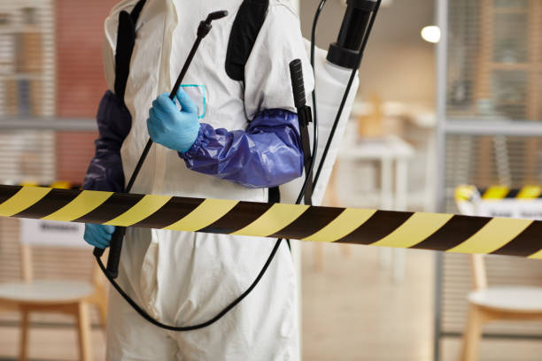 Professional Sewage Cleanup technician working in Avenel, NJ